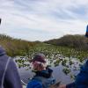 Everglades National Park的住宿加早餐旅馆