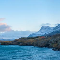 冰岛东部区 23家度假屋