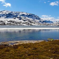 Haukelifjell 19家度假短租房