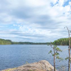 South Karelia 7家住宿加早餐旅馆