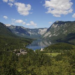 Bohinj Region 13家海滩短租房