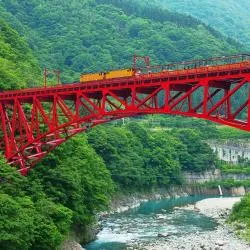 富山县 10家宠物友好酒店