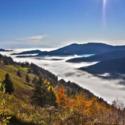 Massif des Vosges