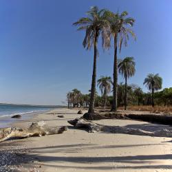 Casamance 30家海滩短租房