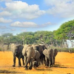 Hwange National Park