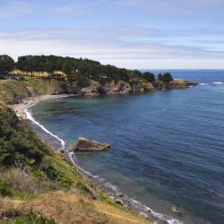 Mendocino Coast