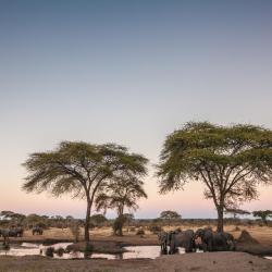 Chobe 15家旅馆