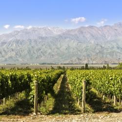Wine Route Mendoza 4家露营地