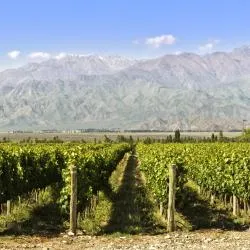 Wine Route Mendoza 7家豪华帐篷营地