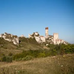 Kraków-Częstochowa Upland 73家公寓