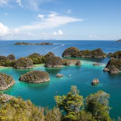 Raja Ampat 5家度假园