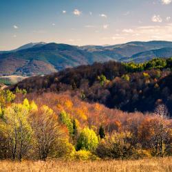 Vrnjačka Banja Spa 16家旅馆