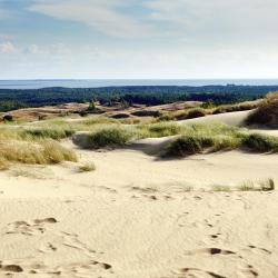 Curonian Spit 7家公寓式酒店