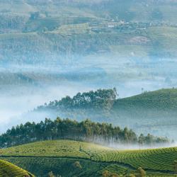 Munnar and Surroundings 5个露营地