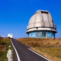 冈山县 35家宠物友好酒店