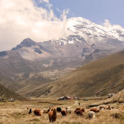 Chimborazo Province 9家民宿