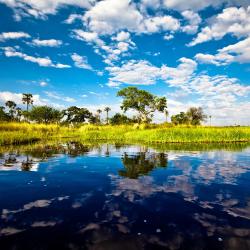 Okavango Delta 9家豪华帐篷营地