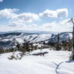 Żywiec Beskids 89家公寓