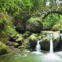 Little Switzerland 7家住宿加早餐旅馆