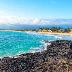 Isabela Island 29家度假短租房