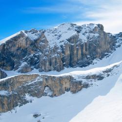 Southern Alps Ski Resorts