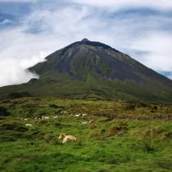 Pico island 17家乡间豪华旅馆
