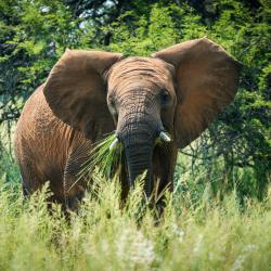 Dinokeng Game Reserve 9家度假短租房