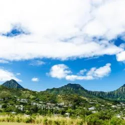 向风海岸