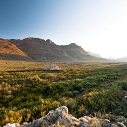 Cederberg