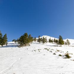 Parnassos Ski