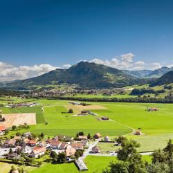 La Gruyere