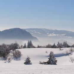 Jura Mountains