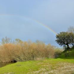 Valle del Tiétar