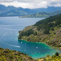 Marlborough Sounds 5家度假村