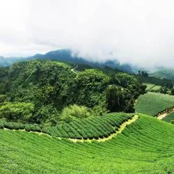 嘉义县