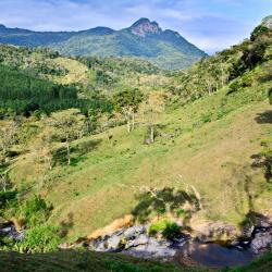 Nariño