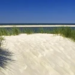 Langeoog 135家度假短租房