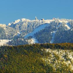 Poiana Brasov 4家木屋