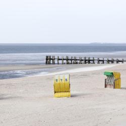 Föhr