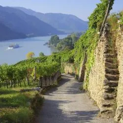 Wachau 56家旅馆