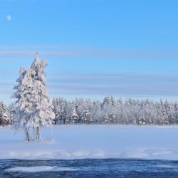 Northern Savonia