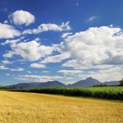 Slavonia