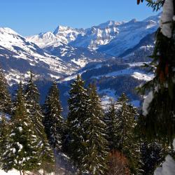 Alpes Vaudoises