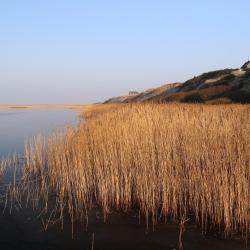 Ringkøbing Fjord