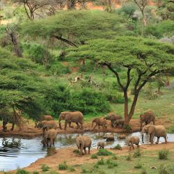 Samburu National Reserve 3间木屋