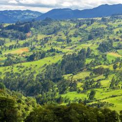 Cundinamarca 151家露营地