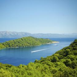 Mljet Island 191家公寓