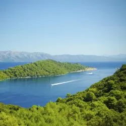 Mljet Island 233家公寓