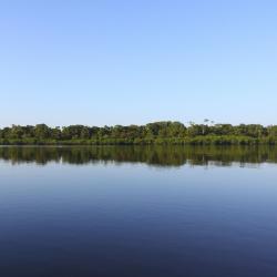 Amazonas