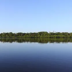 Amazonas